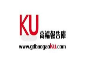 2017年中国互联网专车行业服务模式与投资前景规划研究报告